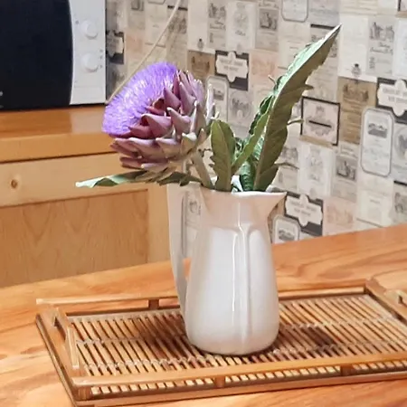 Casa Da Mestre Hébergement de vacances Crecíente